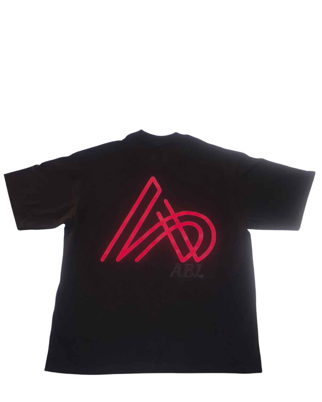 “I CAN because of what SHE DID” Tshirt